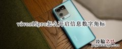 vivos15pro怎么开启信息数字角标 vivo手机图标上的数字