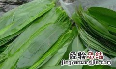 包粽子用的硼砂有毒吗 包粽子放硼砂有什么作用