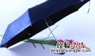 黑胶伞就是太阳伞吗 黑胶太阳伞能淋雨吗