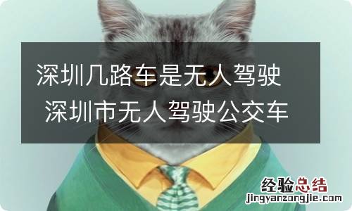 深圳几路车是无人驾驶 深圳市无人驾驶公交车是哪路车