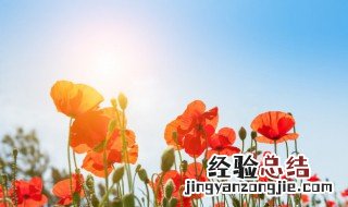 末伏还闷热吗 末伏热吗
