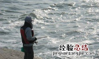海钓鲈鱼有什么技巧 海钓鲈鱼方法