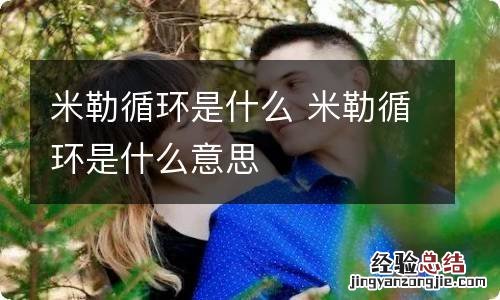 米勒循环是什么 米勒循环是什么意思