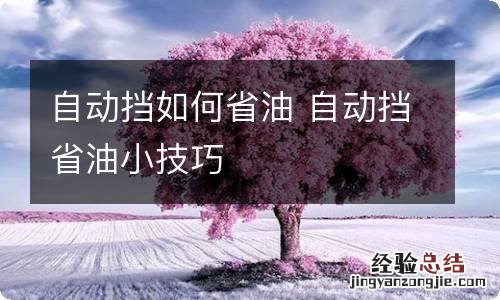 自动挡如何省油 自动挡省油小技巧