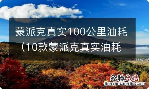 10款蒙派克真实油耗 蒙派克真实100公里油耗