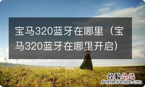 宝马320蓝牙在哪里开启 宝马320蓝牙在哪里