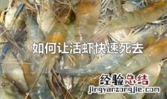 如何让活虾快速死去 活虾怎么让他活着