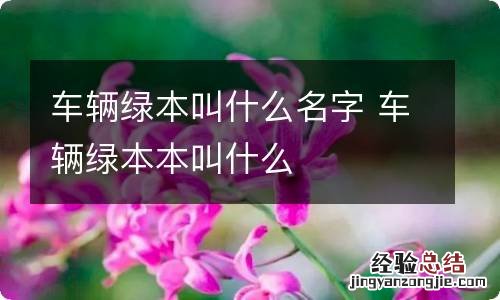 车辆绿本叫什么名字 车辆绿本本叫什么