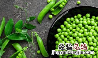 豌豆尖的种植方法和时间图片 豌豆尖的种植方法和时间