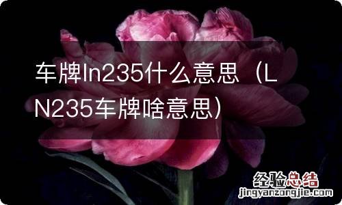 LN235车牌啥意思 车牌ln235什么意思