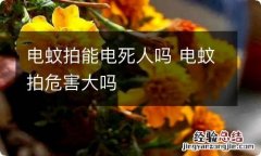 电蚊拍能电死人吗 电蚊拍危害大吗