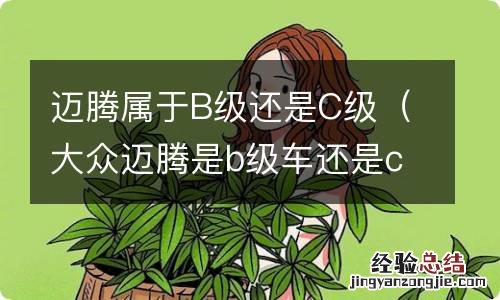 大众迈腾是b级车还是c级车 迈腾属于B级还是C级