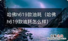 哈佛h619款油耗怎么样 哈佛h619款油耗