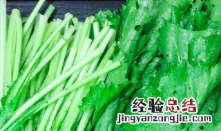 新鲜雪里红能包饺子吗 新鲜雪里红可以包饺子吗