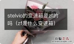 zf是什么变速箱 stelvio的变速箱是zf的吗