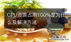 CPU资源占用100%是为什么及解决方法