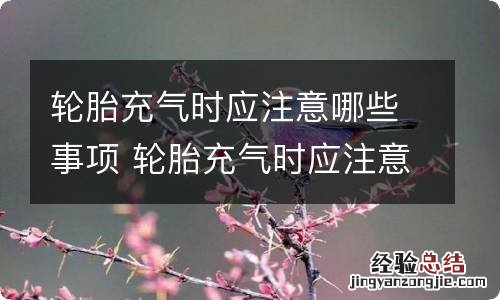 轮胎充气时应注意哪些事项 轮胎充气时应注意哪些事项及培训内容