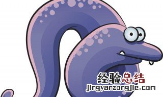 鳝鱼怎样养殖与管理 养殖鳝鱼技巧