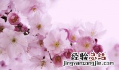 5月是什么季节 3月到5月是什么季节