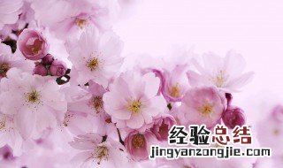 5月是什么季节 3月到5月是什么季节