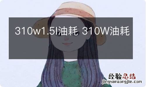 310w1.5l油耗 310W油耗