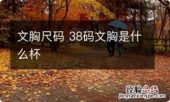 文胸尺码 38码文胸是什么杯