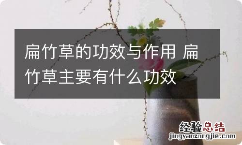 扁竹草的功效与作用 扁竹草主要有什么功效