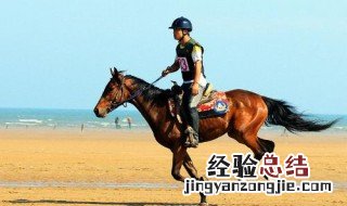 马蹄其实是马的什么 马蹄其实是马的什么部位