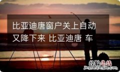 比亚迪唐窗户关上自动又降下来 比亚迪唐 车窗自动打开