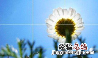 小米8拍照技巧详解 如何提高拍照技术