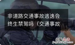 交通事故逃逸了会终身禁驾吗? 非道路交通事故逃逸会终生禁驾吗