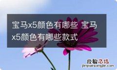 宝马x5颜色有哪些 宝马x5颜色有哪些款式