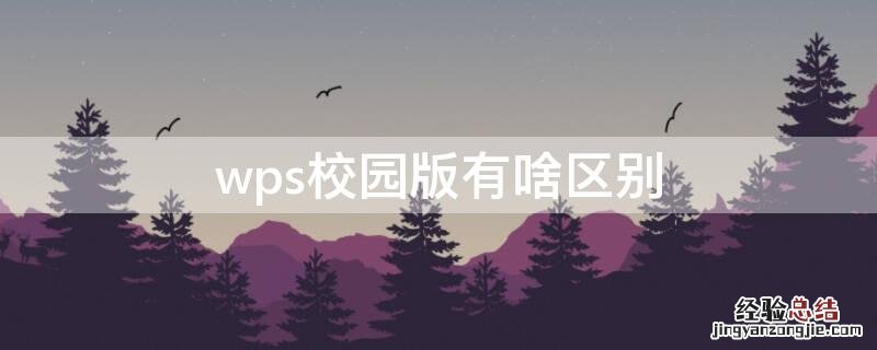 wps校园版有啥区别 wps校园版和wps有什么区别