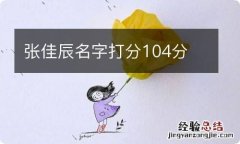 张佳辰名字打分104分