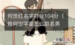 姓何世字辈怎么取名男孩 何世红名字打分104分