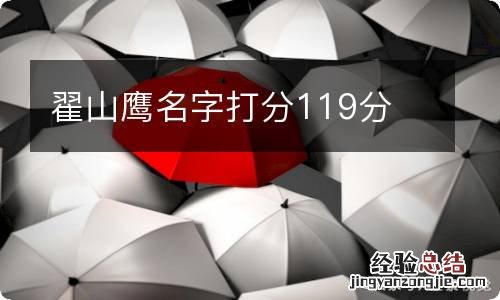 翟山鹰名字打分119分