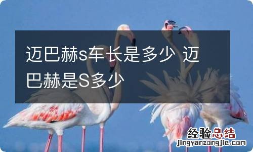 迈巴赫s车长是多少 迈巴赫是S多少
