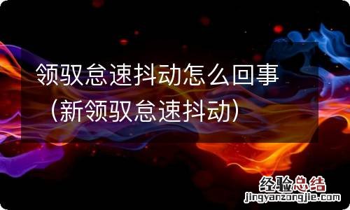 新领驭怠速抖动 领驭怠速抖动怎么回事