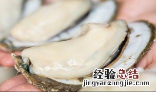 生蚝买回来可以放几天 生蚝买回来可以放几天吗