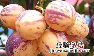 人参果内蕊可以吃吗 人参果内芯怎么吃