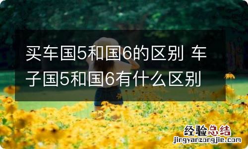 买车国5和国6的区别 车子国5和国6有什么区别