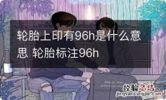 轮胎上印有96h是什么意思 轮胎标注96h