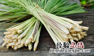 香茅可以驱蚊吗 香茅可以驱蚊子吗
