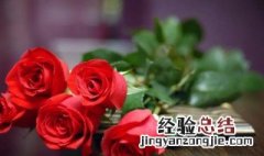 玫瑰花叶子为什么蔫了 玫瑰花叶子蔫了是怎么回事啊