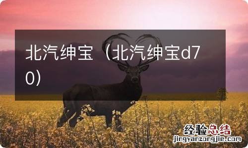 北汽绅宝d70 北汽绅宝