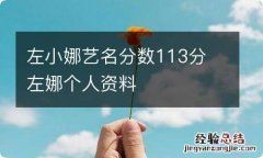 左小娜艺名分数113分 左娜个人资料