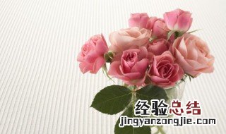 玫瑰花叶子都掉完了还能活吗 玫瑰花种活了长叶子了又死