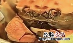 成语无肠公子是古人对哪种动物的别称？ 螃蟹介绍