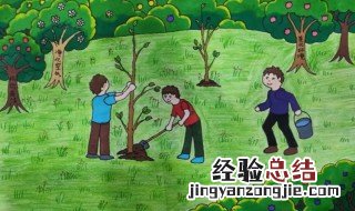 如何保护环境共建绿色校园 保护生态环境共建绿色校园