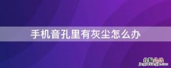 手机音孔里有灰尘怎么办? 手机音孔里有灰尘怎么办